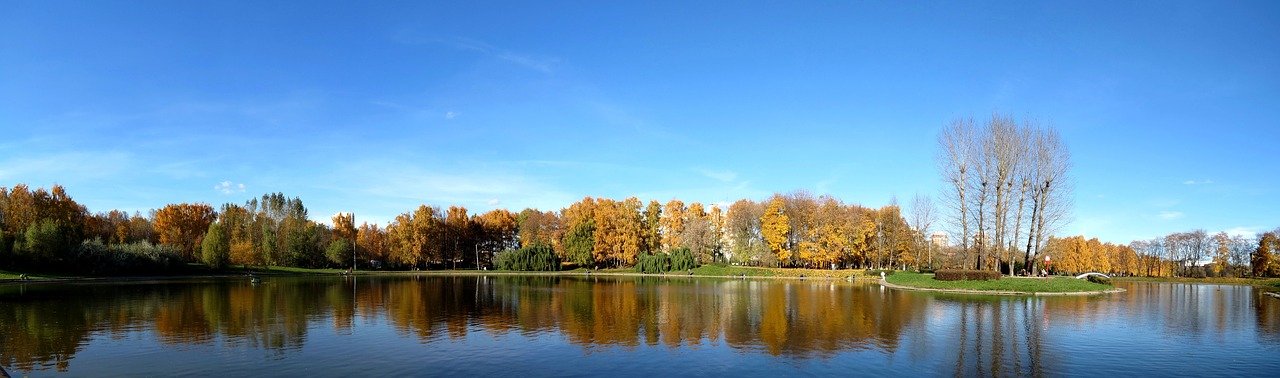 autumn sky blue sky free photo