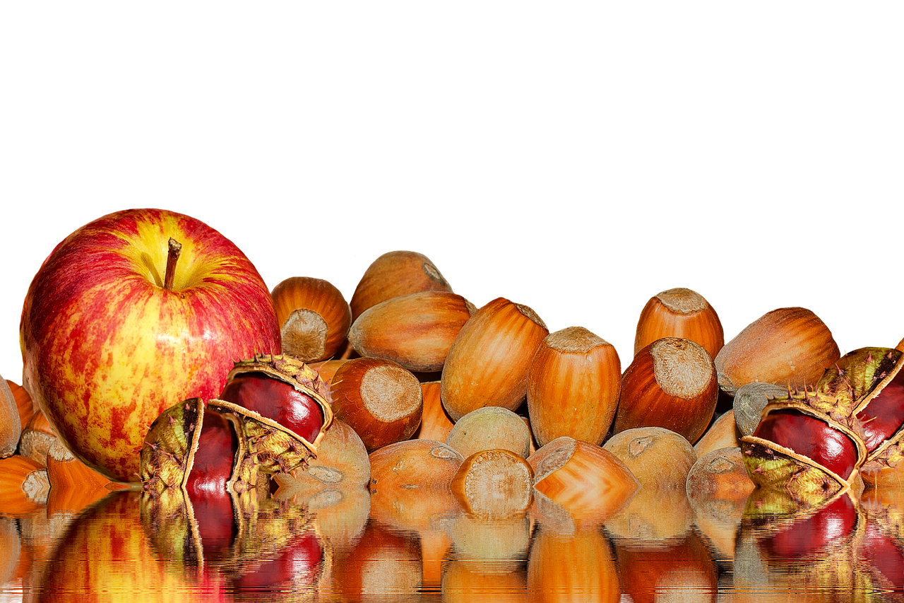 autumn chestnut apple free photo