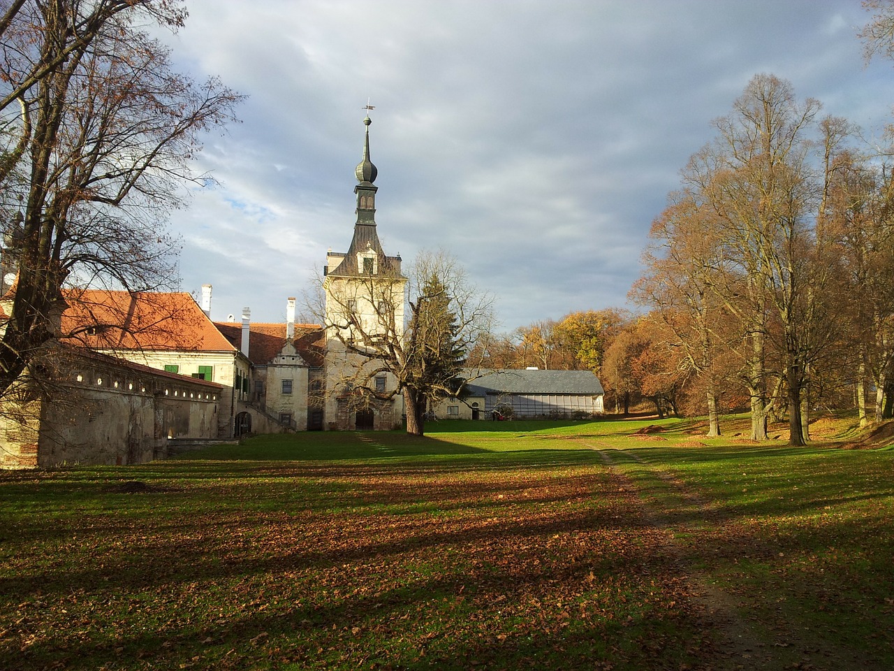 autumn colors dry leaves free photo