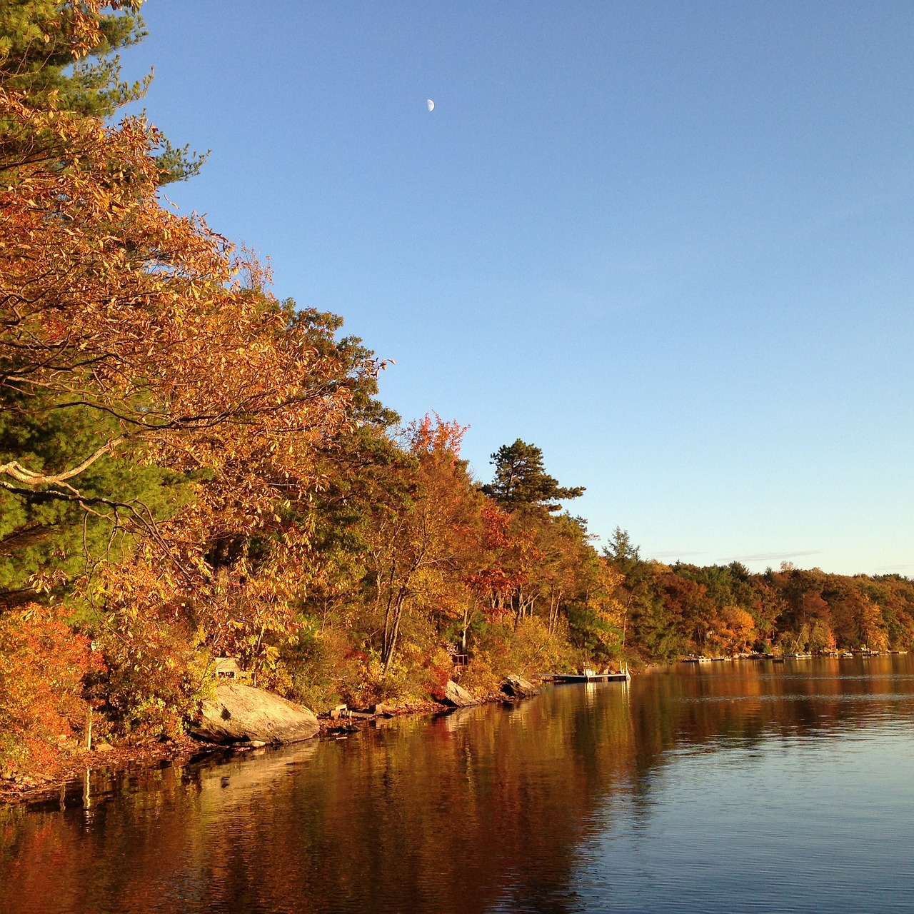 autumn lake landscape free photo