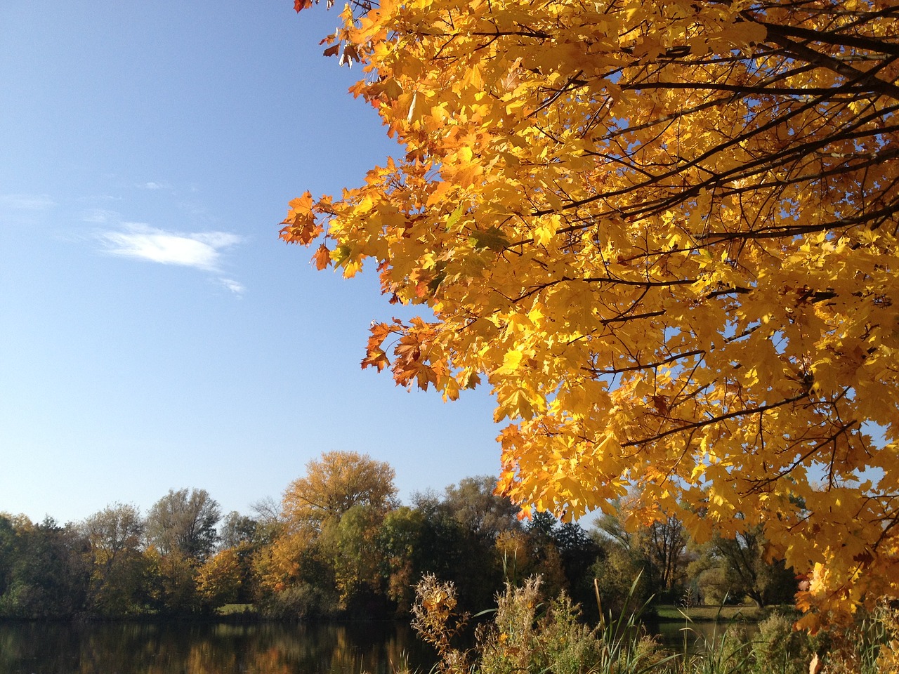 autumn sun sky free photo