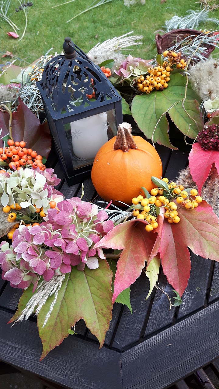 autumn colorful decoration free photo