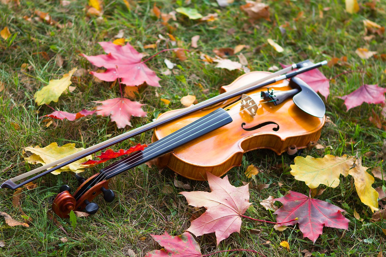 autumn violin musical instrument free photo