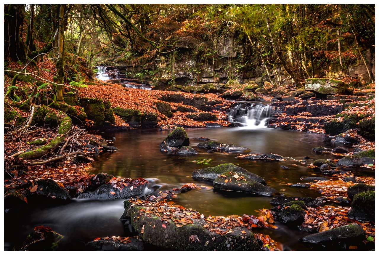 autumn water fall free photo