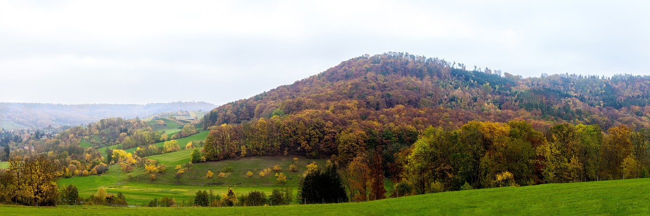 autumn landscape forest free photo