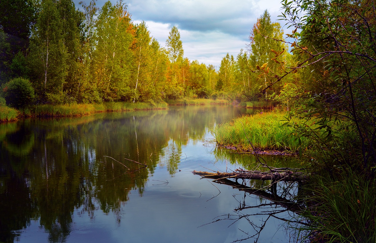 autumn landscape pond free photo