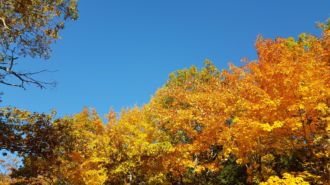 autumn michigan copper harbor free photo