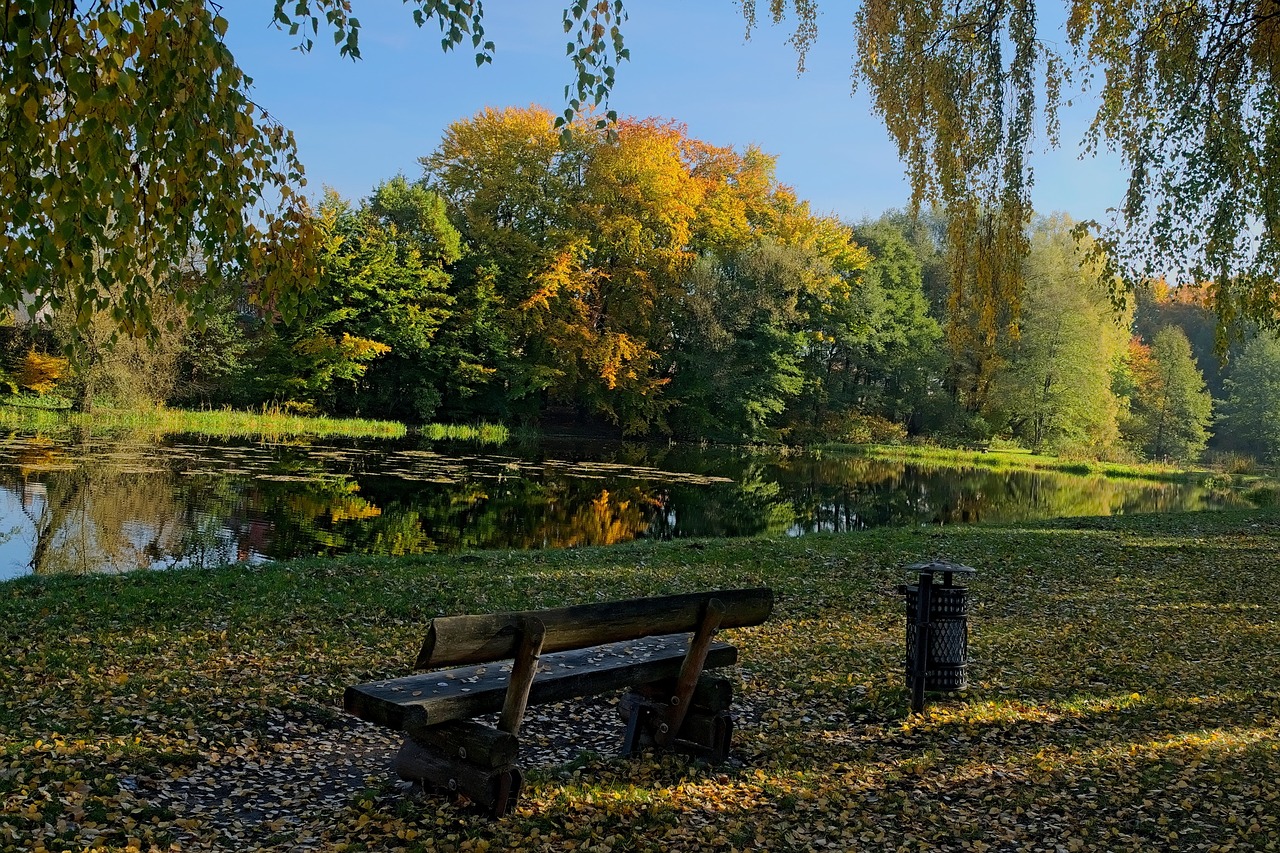 autumn bench park free photo