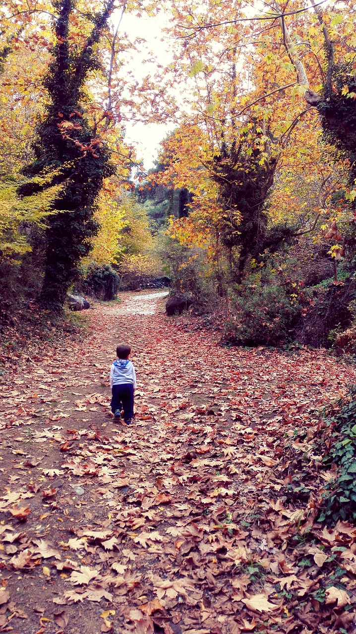 autumn baby the leaves are free photo