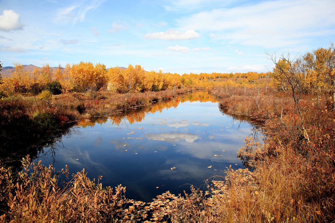 autumn forest lake free photo