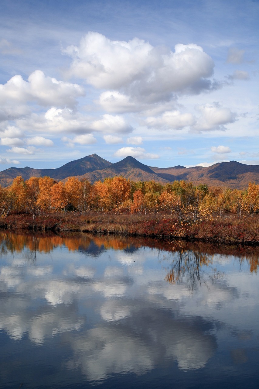 autumn forest lake free photo