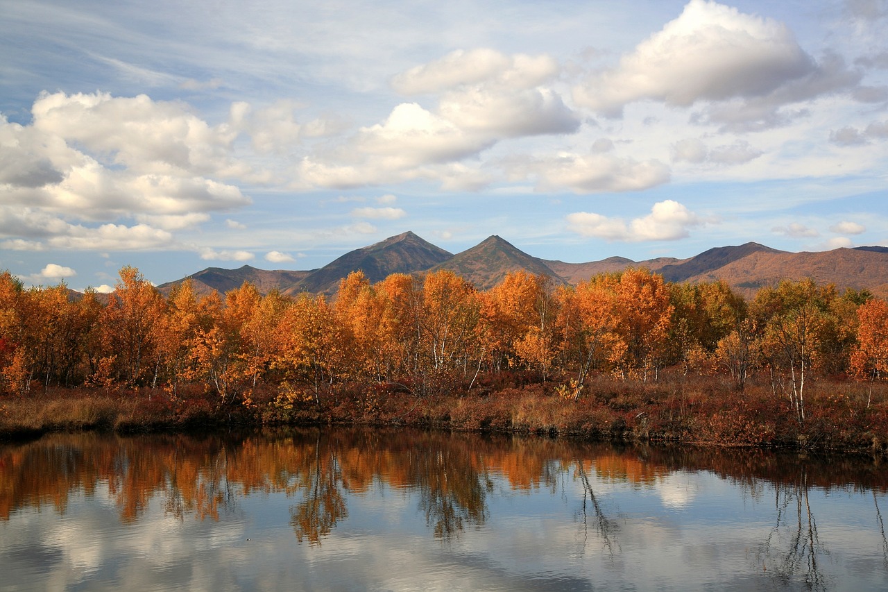 autumn forest lake free photo