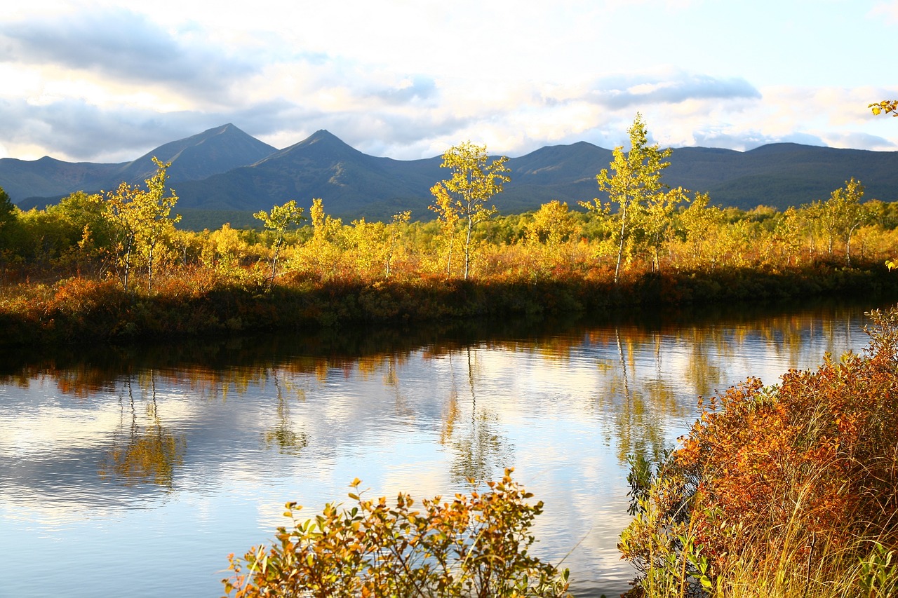 autumn forest lake free photo