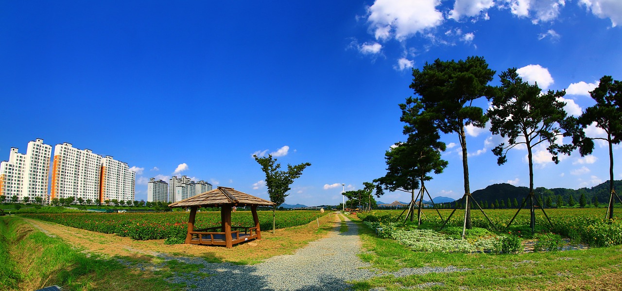 autumn landscape panorama free photo