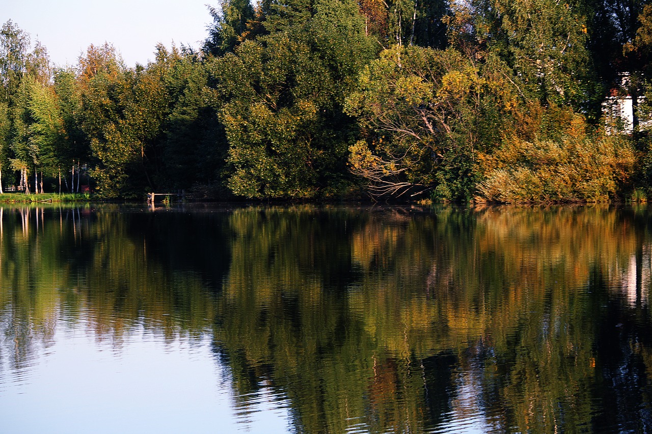 autumn lake beauty free photo