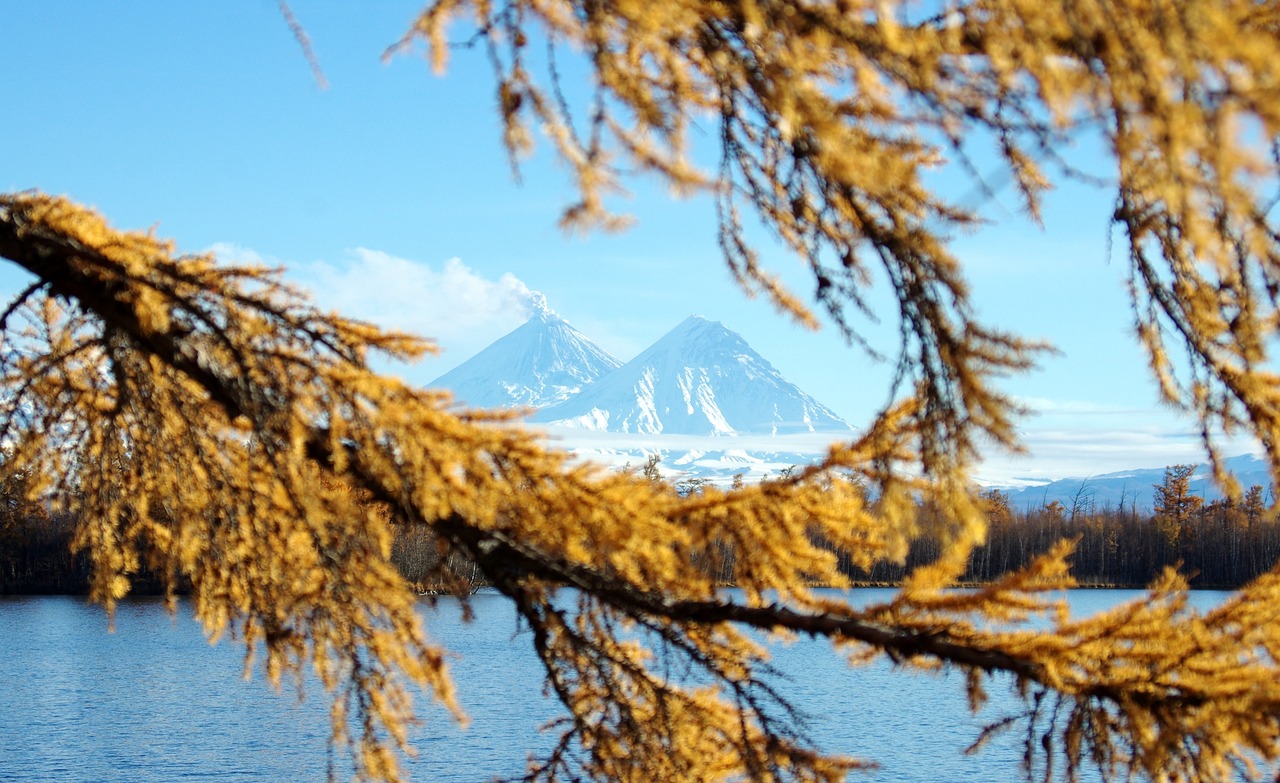 autumn volcanoes larch free photo