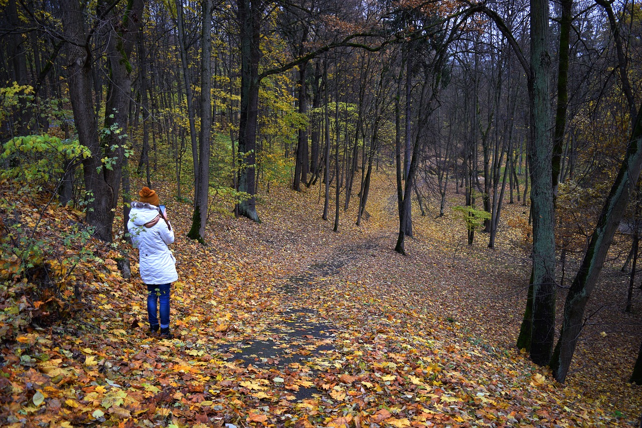 autumn girl trees free photo