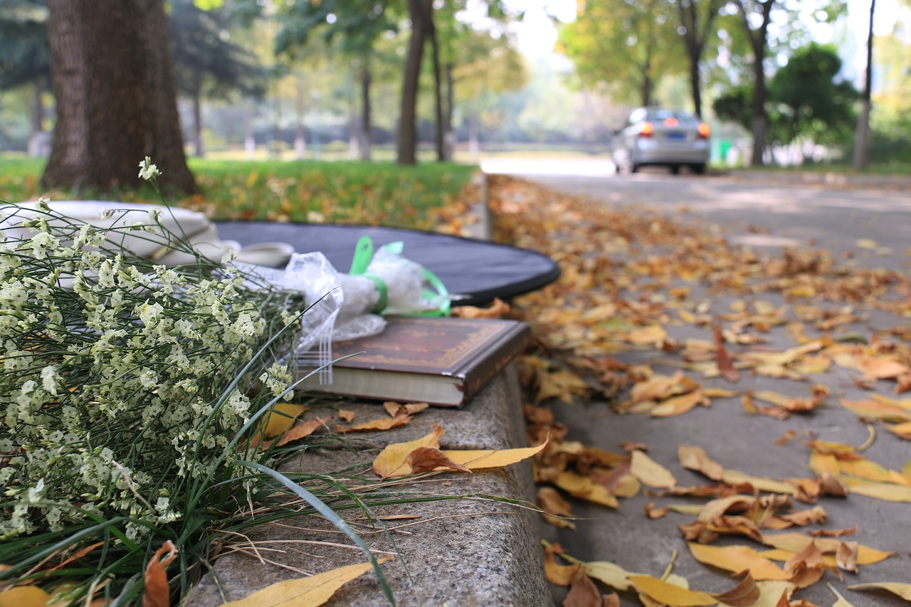 autumn street books free photo