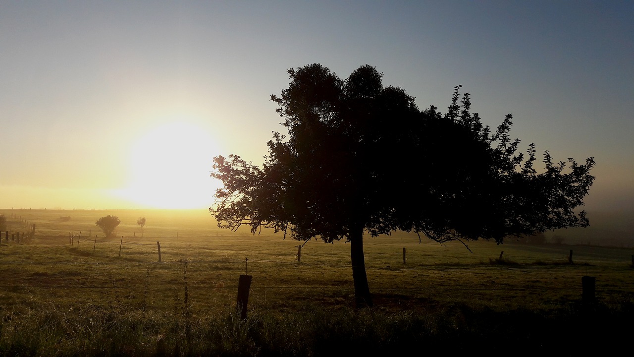 autumn sunrise land free photo