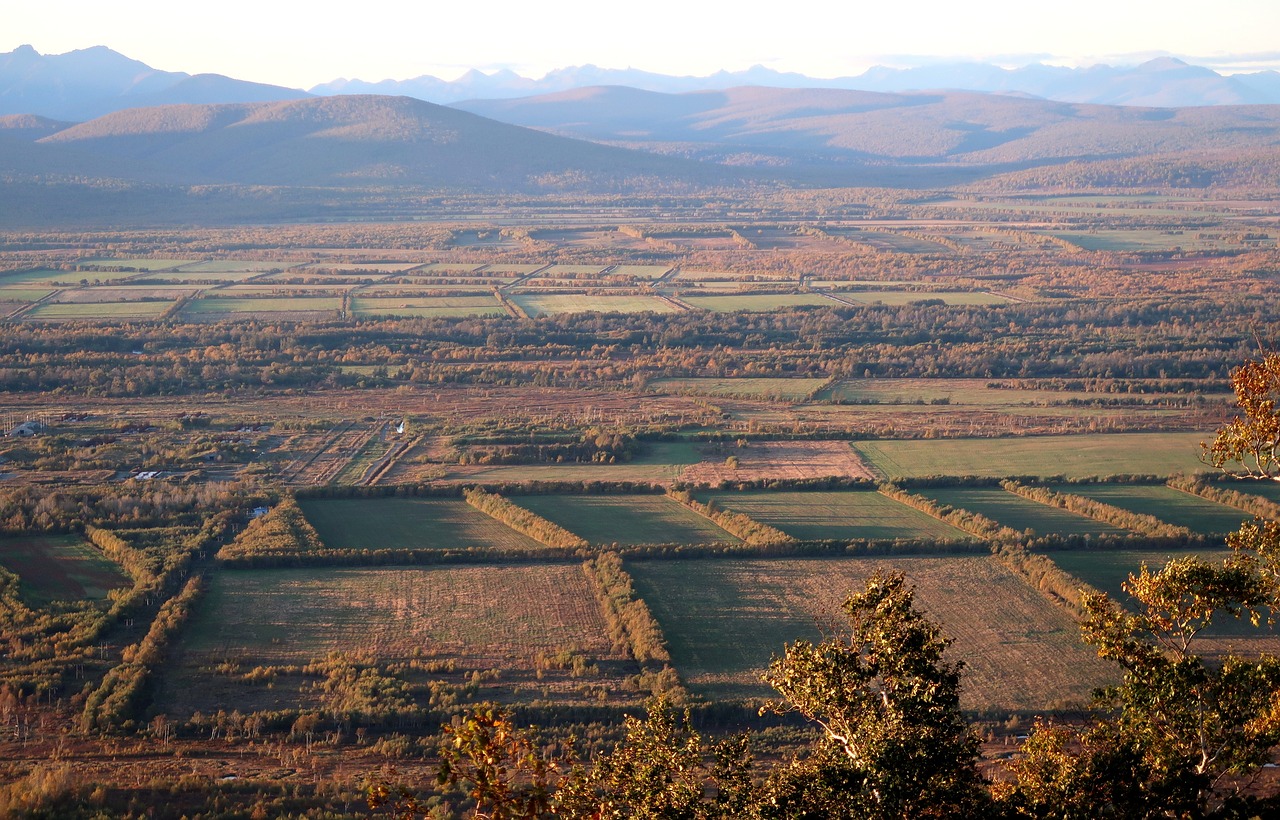 autumn fields harvest free photo