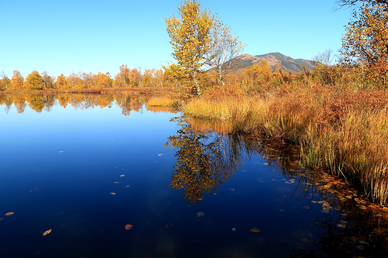 autumn lake mountains free photo