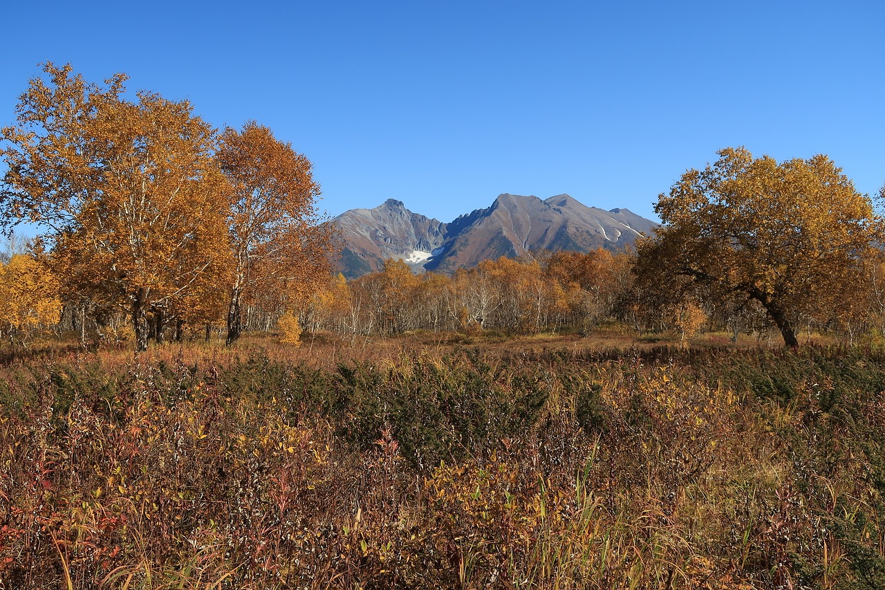 autumn mountains forest free photo