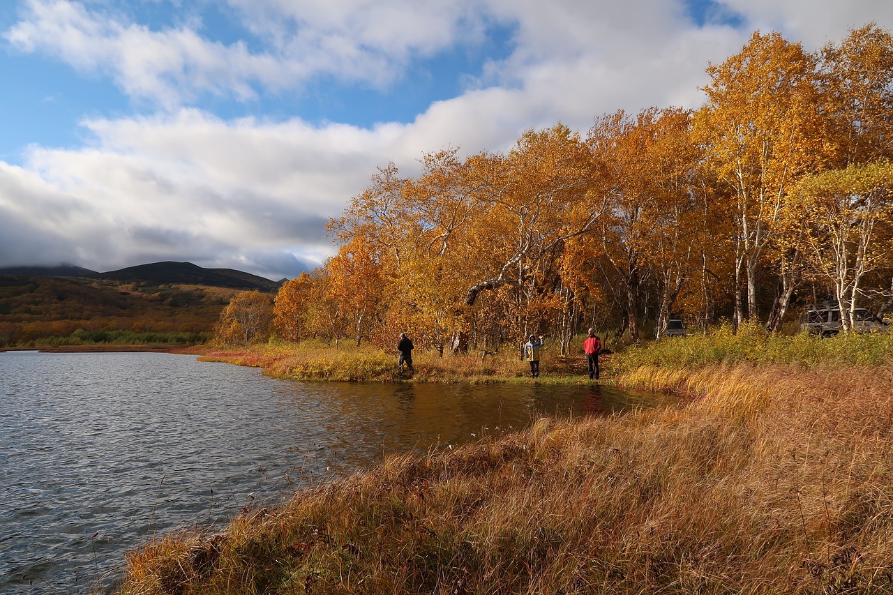 autumn lake forest free photo