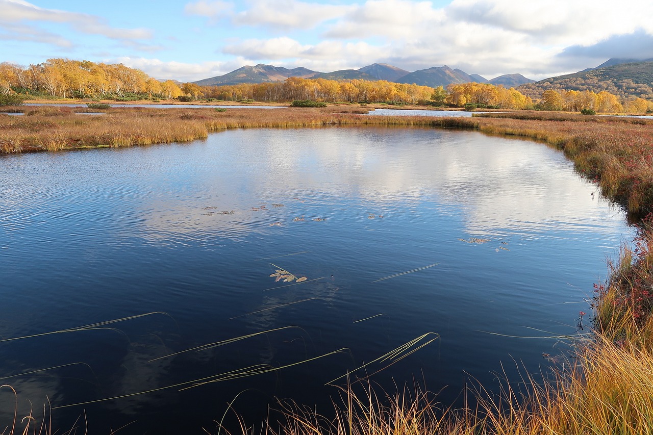 autumn lake forest free photo