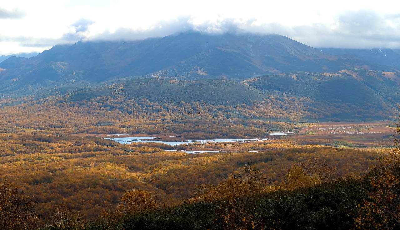 autumn lake forest free photo