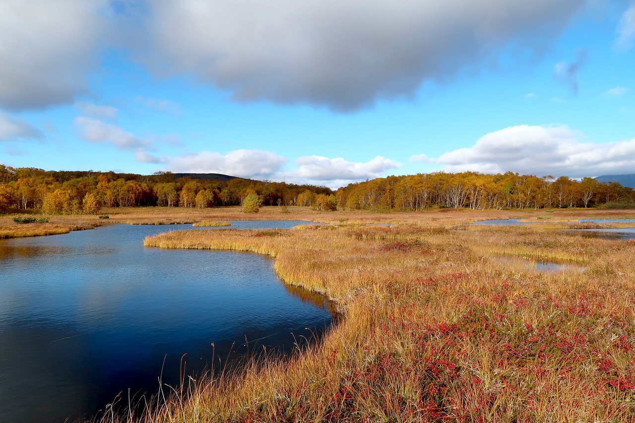 autumn lake forest free photo