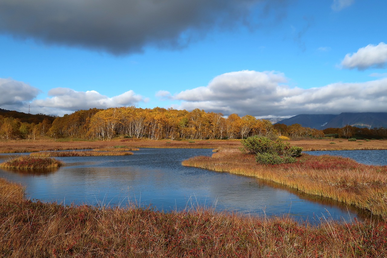 autumn lake forest free photo