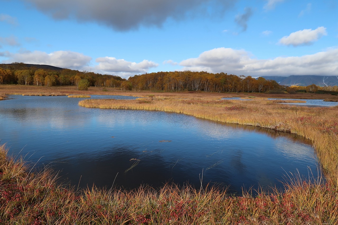 autumn lake forest free photo