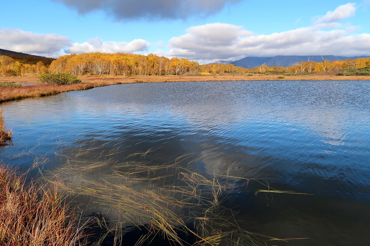 autumn lake forest free photo