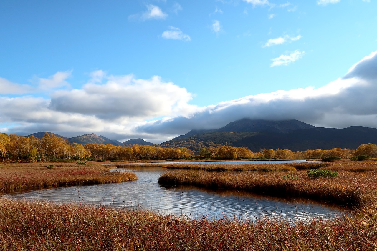 autumn lake forest free photo