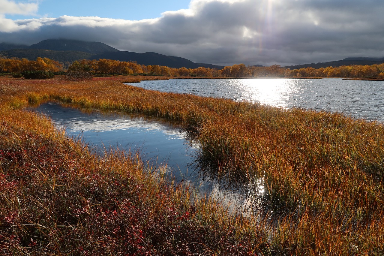 autumn lake forest free photo