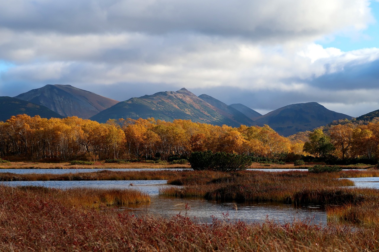 autumn lake forest free photo