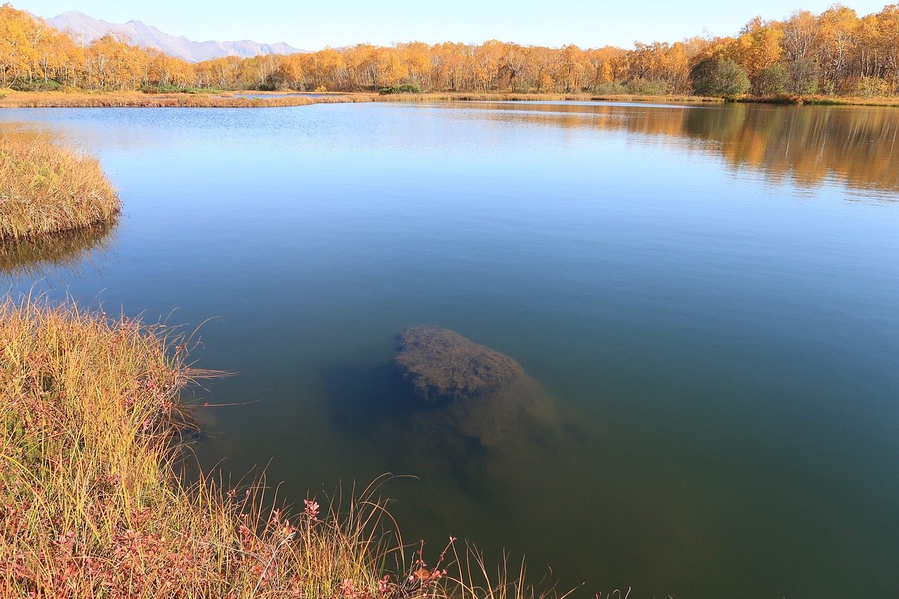 autumn lake forest free photo