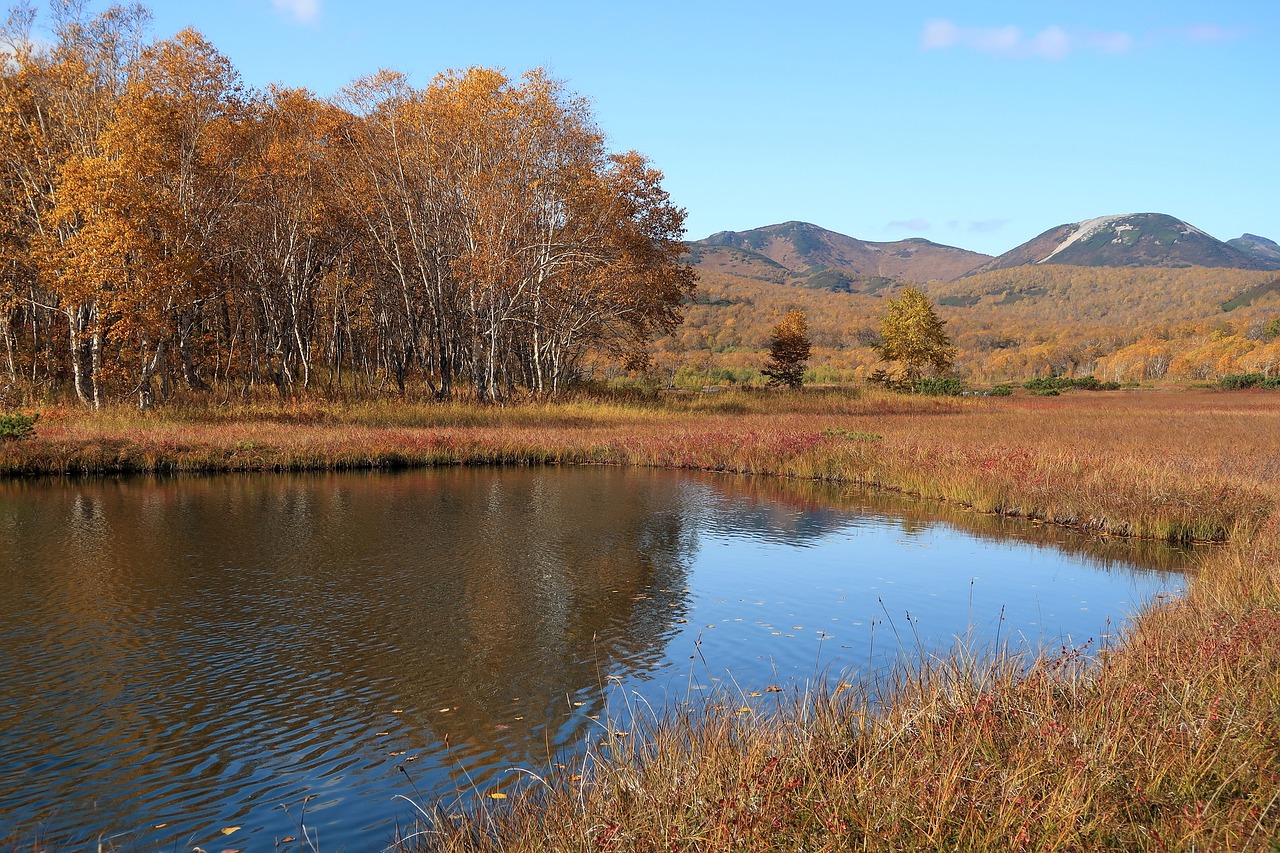 autumn lake forest free photo