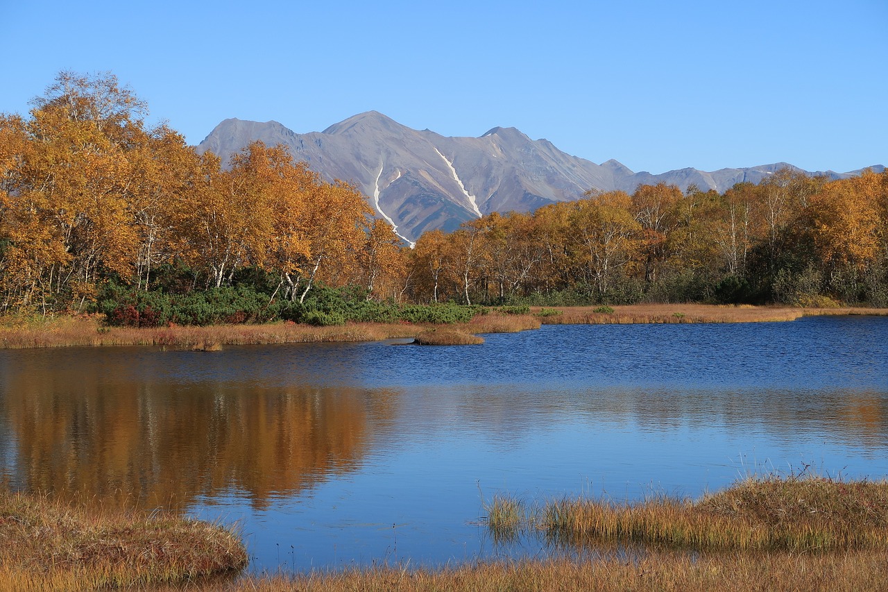 autumn lake forest free photo