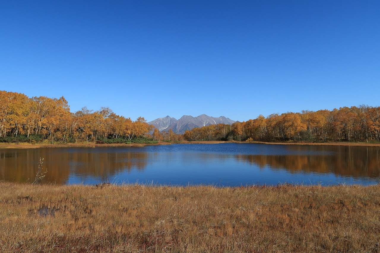 autumn lake forest free photo