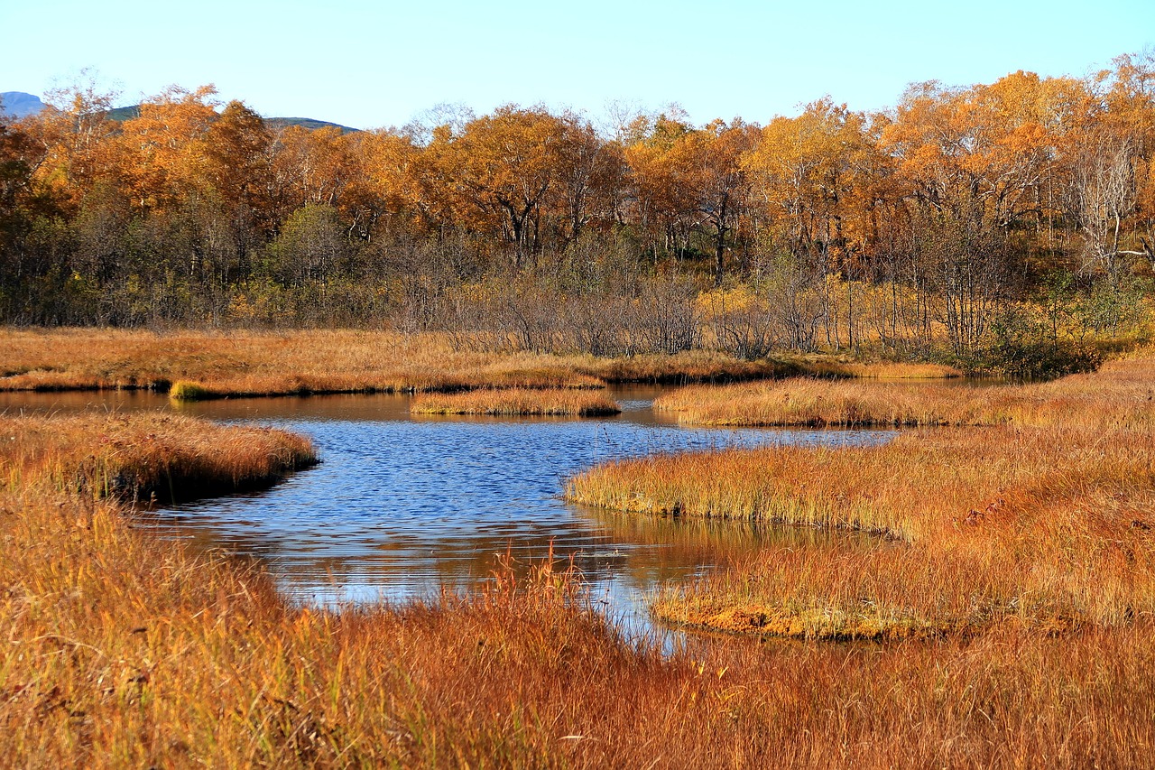 autumn lake forest free photo