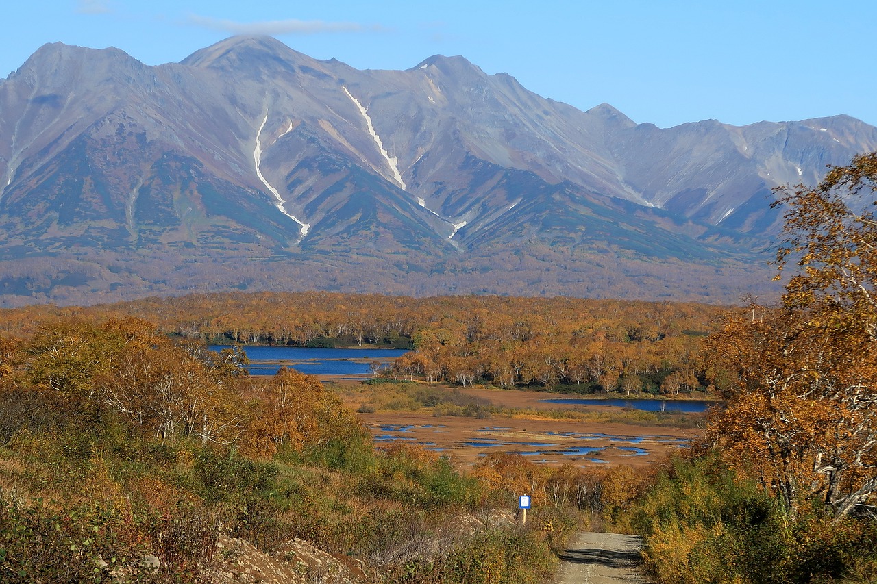 autumn lake forest free photo