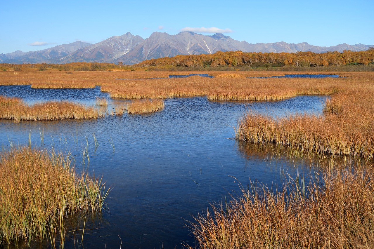 autumn lake forest free photo