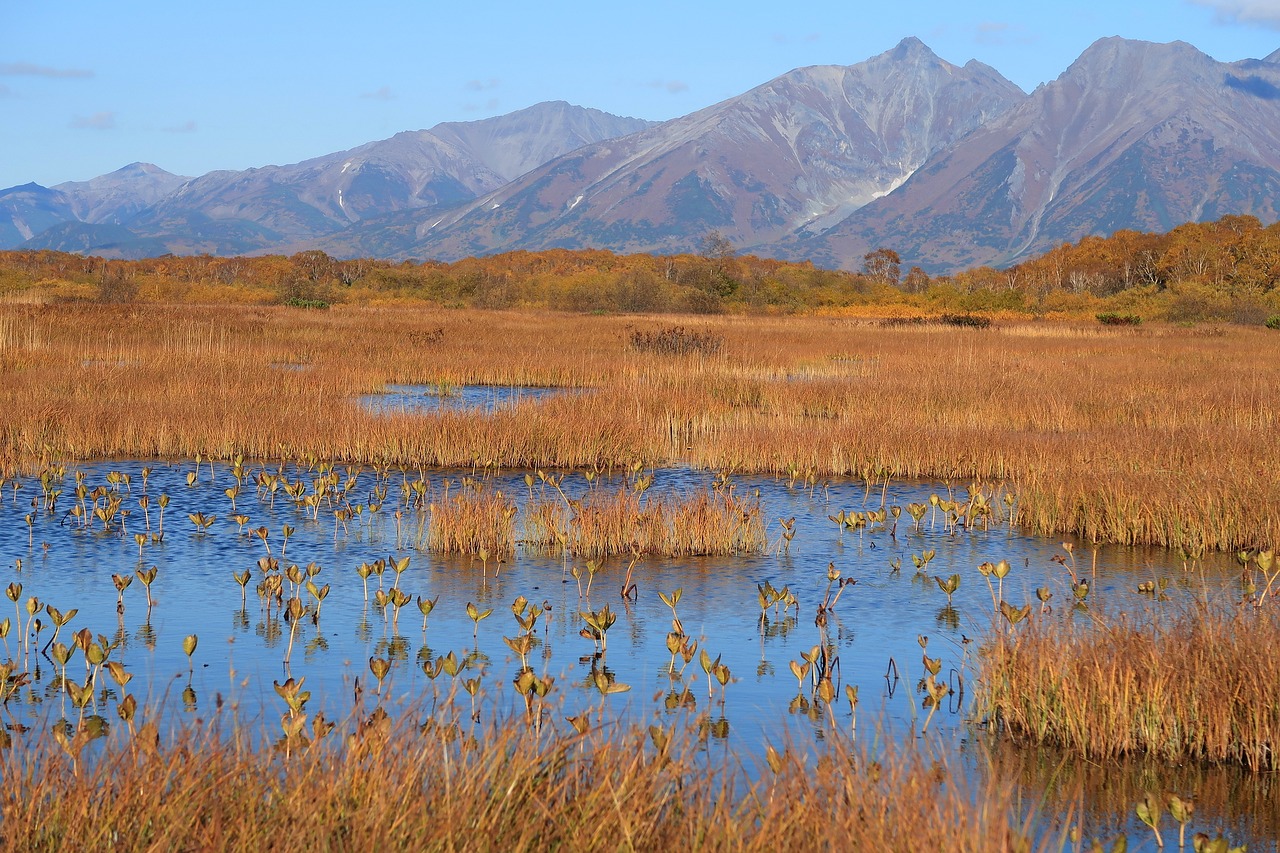 autumn lake forest free photo