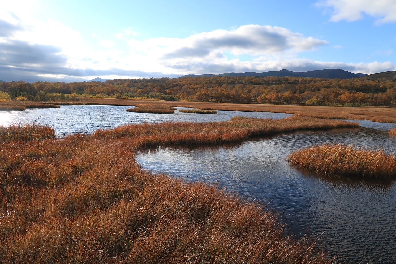 autumn lake forest free photo