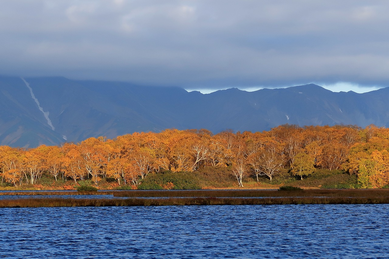 autumn lake forest free photo