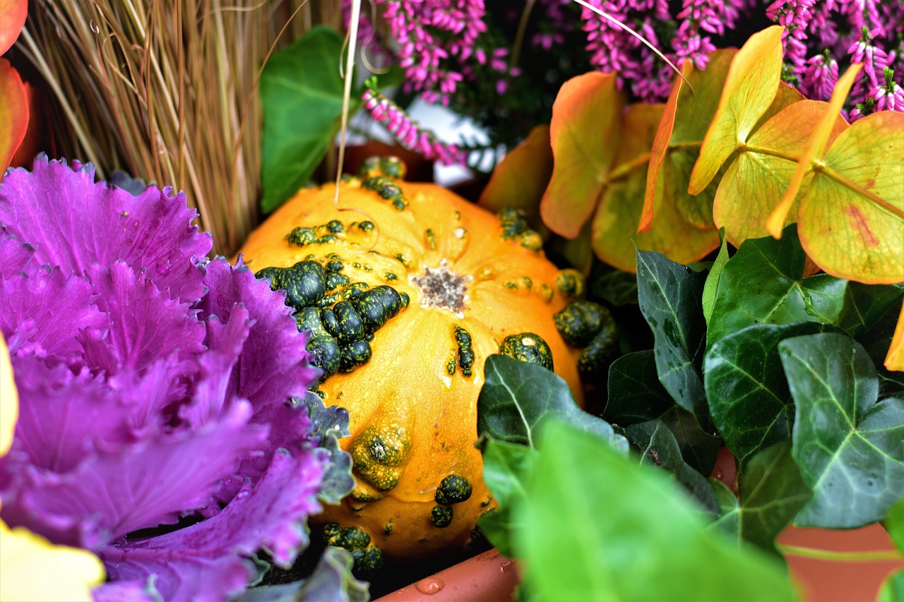 autumn decoration gourd free photo