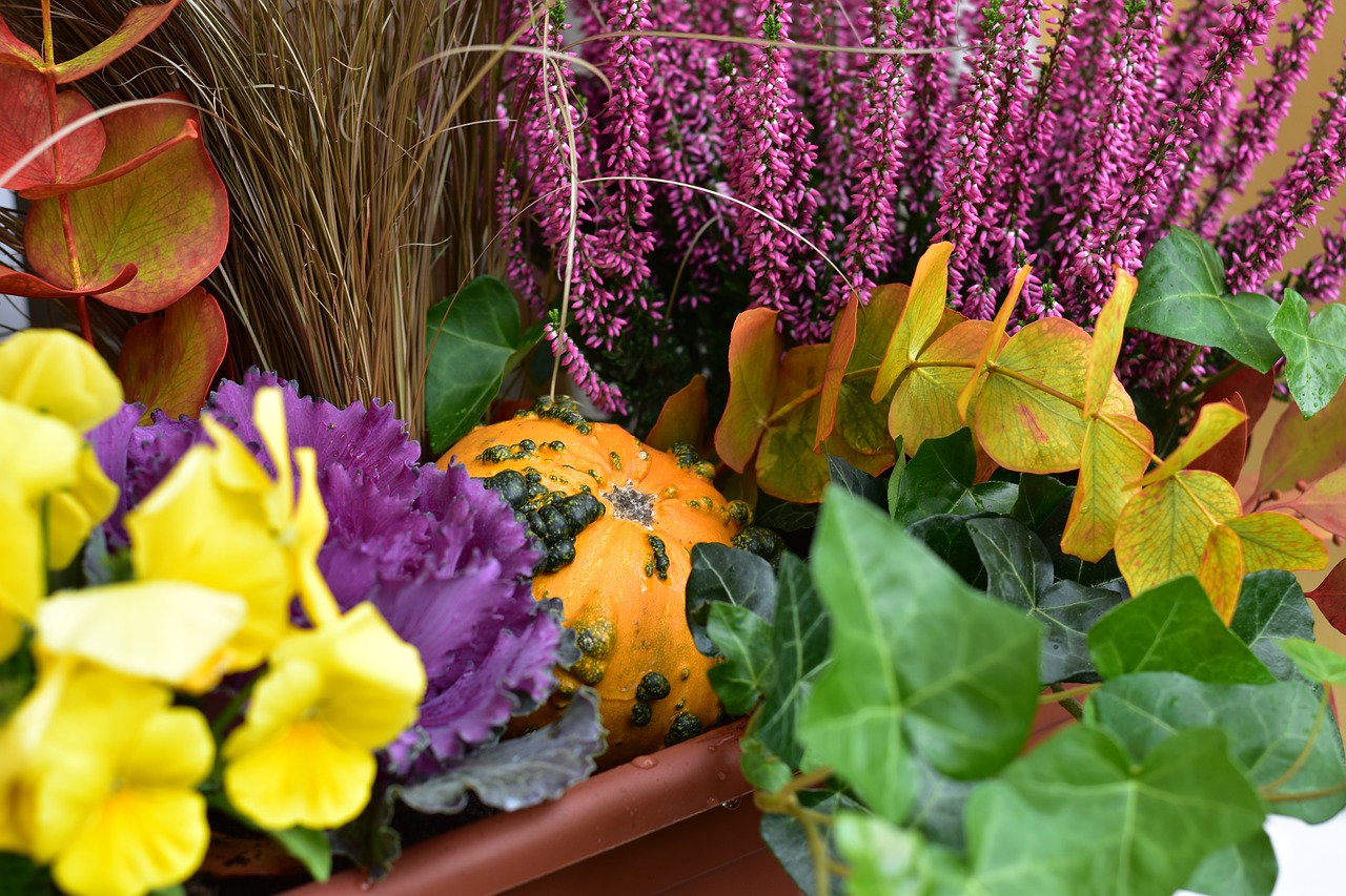 autumn decoration gourd free photo