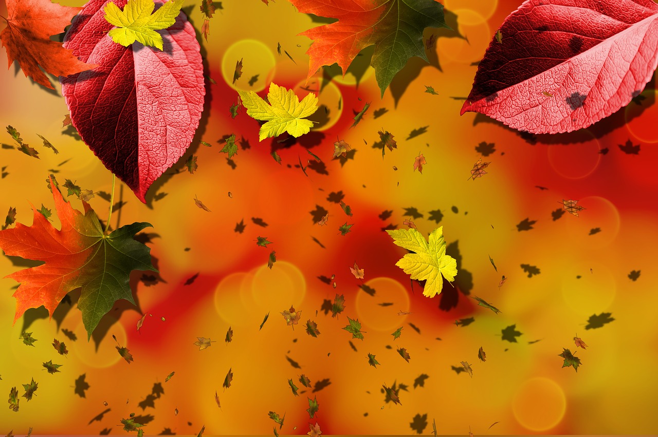 autumn fall background free photo