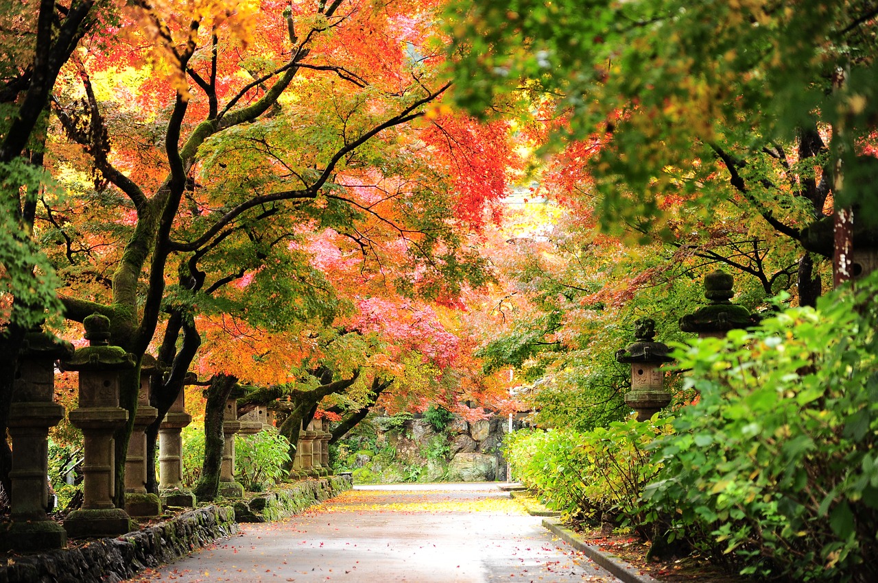 autumn autumnal leaves temple free photo